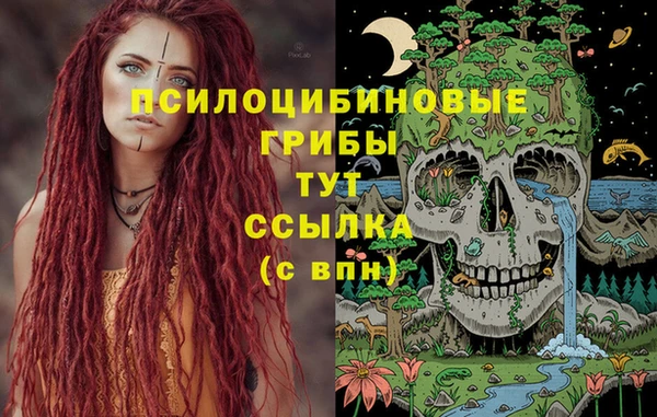 ГАЛЛЮЦИНОГЕННЫЕ ГРИБЫ Алексеевка
