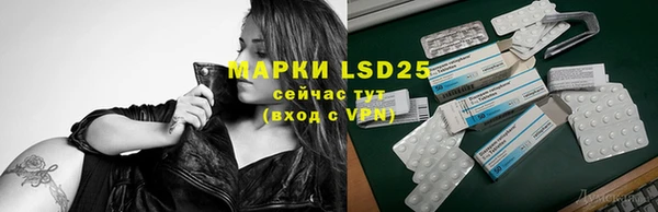 ГАЛЛЮЦИНОГЕННЫЕ ГРИБЫ Алексеевка