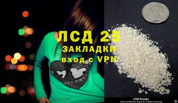ГАЛЛЮЦИНОГЕННЫЕ ГРИБЫ Алексеевка