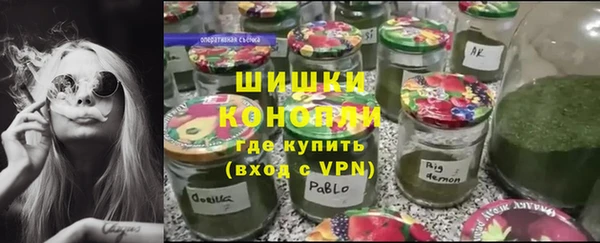 метадон Алексин